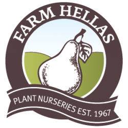 Greek-farm-hellas-EN